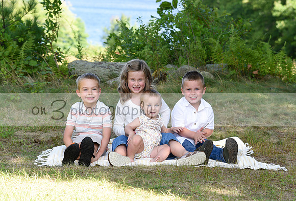 ON3_2294copy